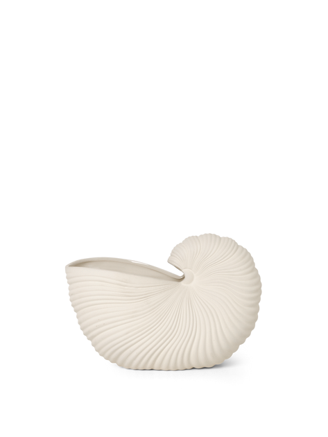 Nautilus Shell Planter Cachepot with Shell Feet Details sea shell ice  bucket champagne cooler art Gold : : Home