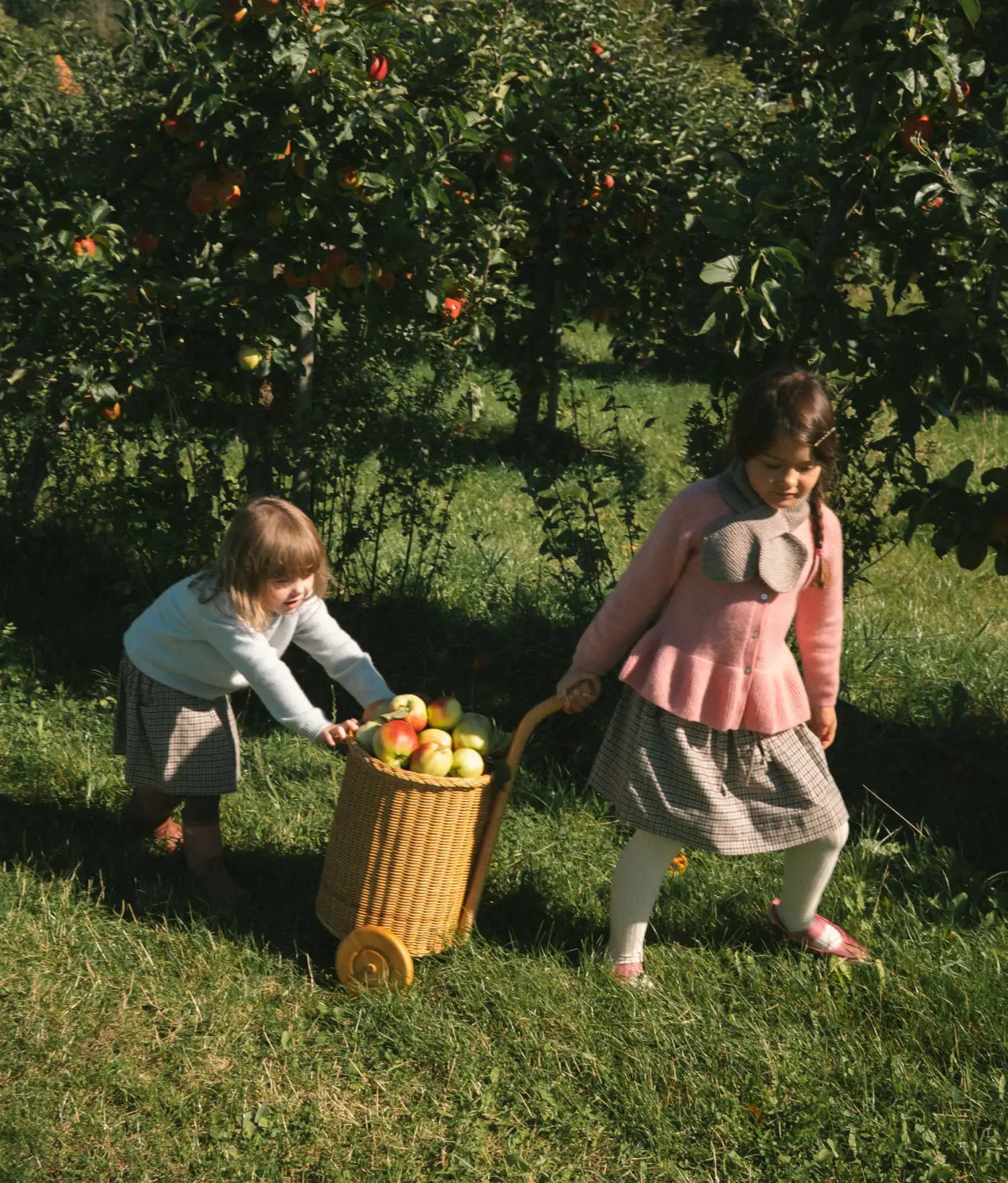 Two children in an apple orchard pulling and pushing a woven basket trolley filled with apples