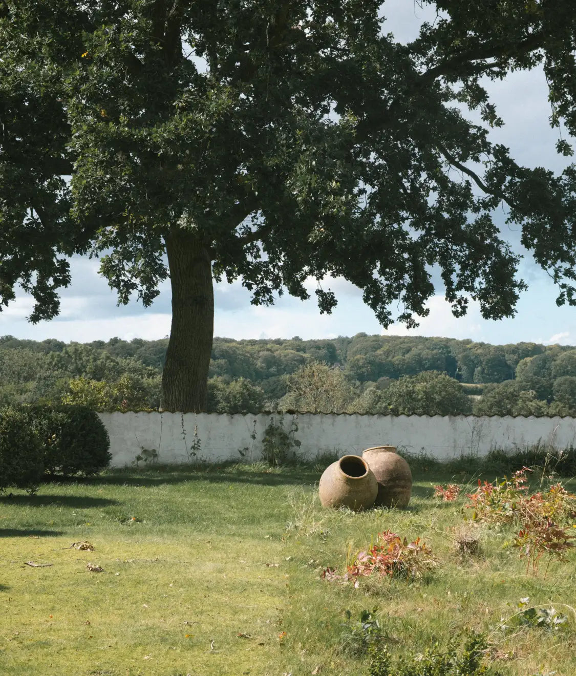 Garden with a large tree, white wall and two round urns resting on the grass