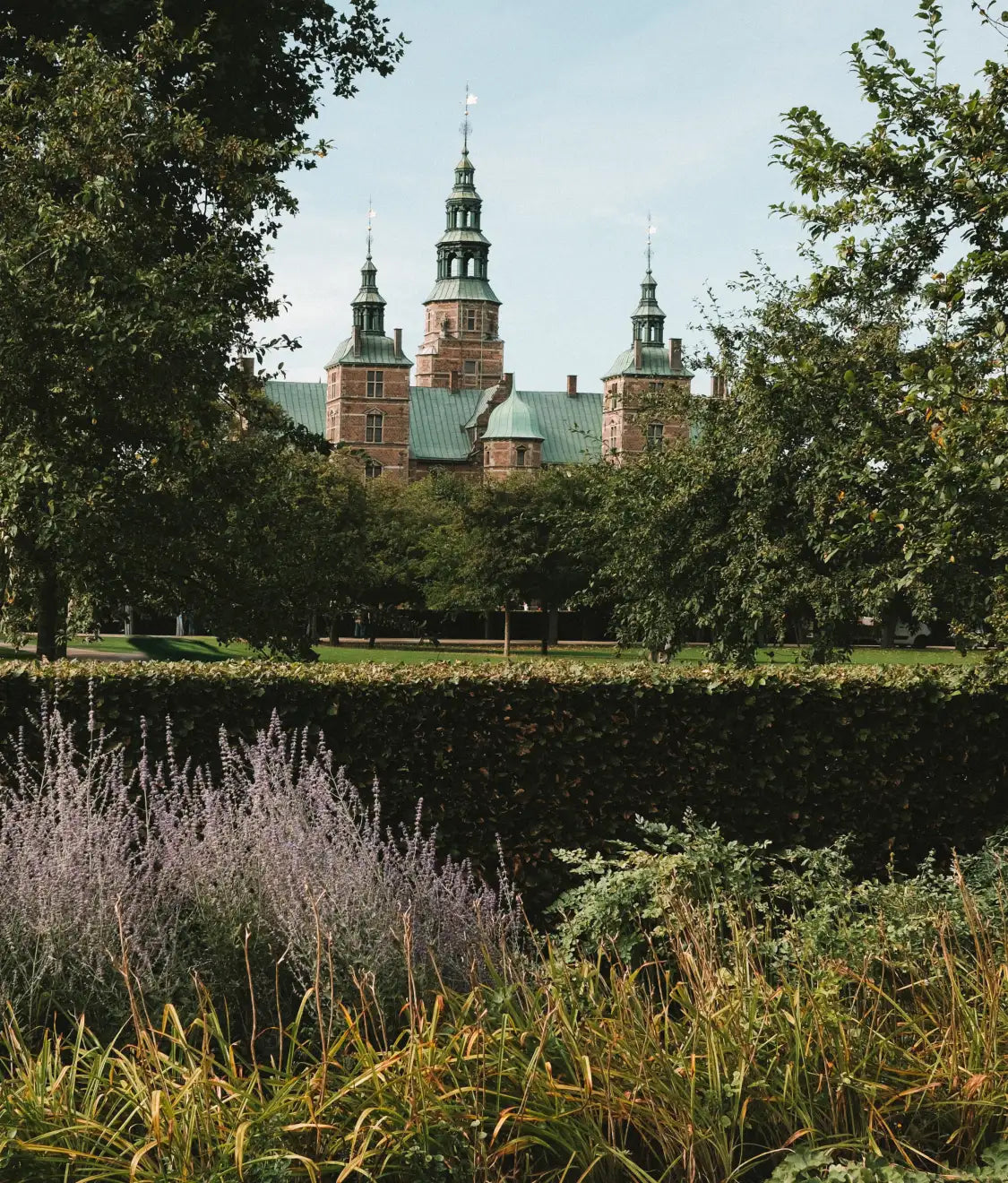 Castle with green spires seen across a park, hedge, tall grasses and purple flowering plants in front