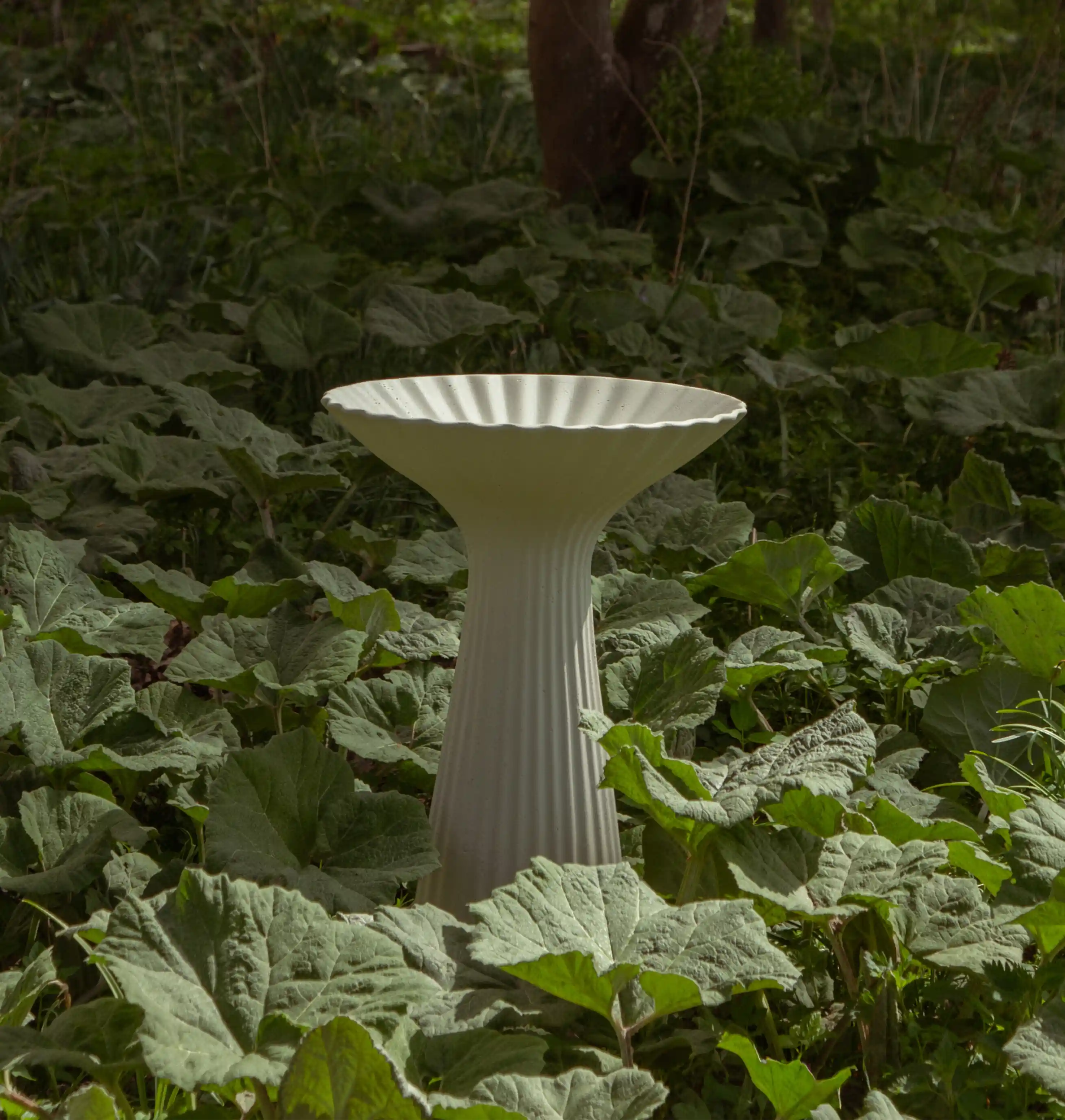 The Green Space collection, fluted white bird bath standing among broad green leaves in a garden